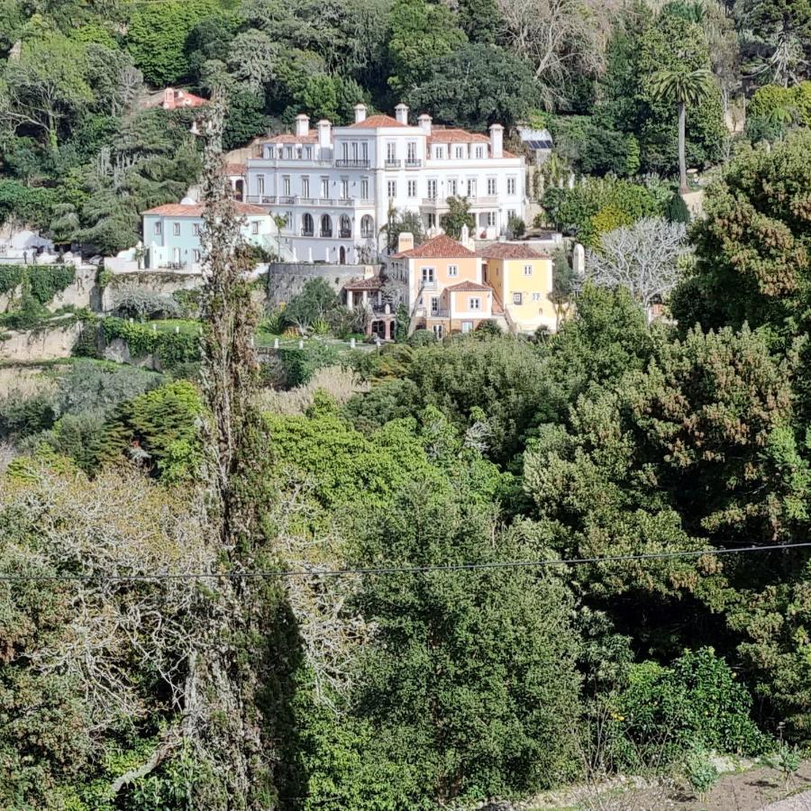 Quinta Da Bella Vista - Historic Home And Farm Sintra Exterior photo