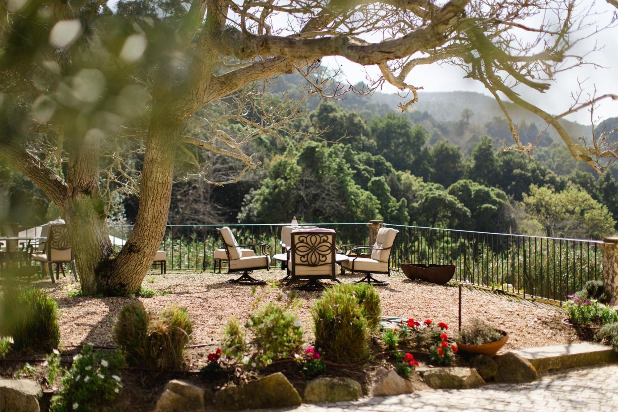 Quinta Da Bella Vista - Historic Home And Farm Sintra Exterior photo